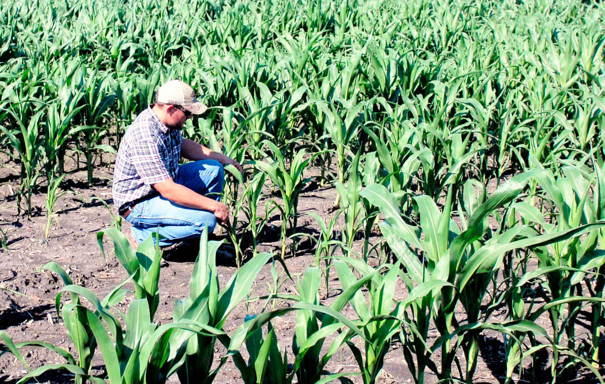 Multispectral crop monitoring imagery
